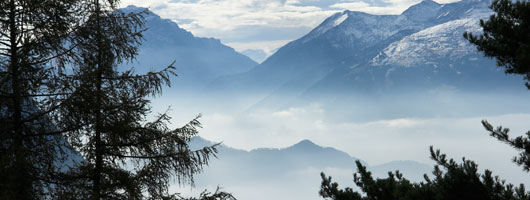 在线打电话免费网页版